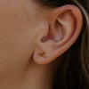 Bowie Studs