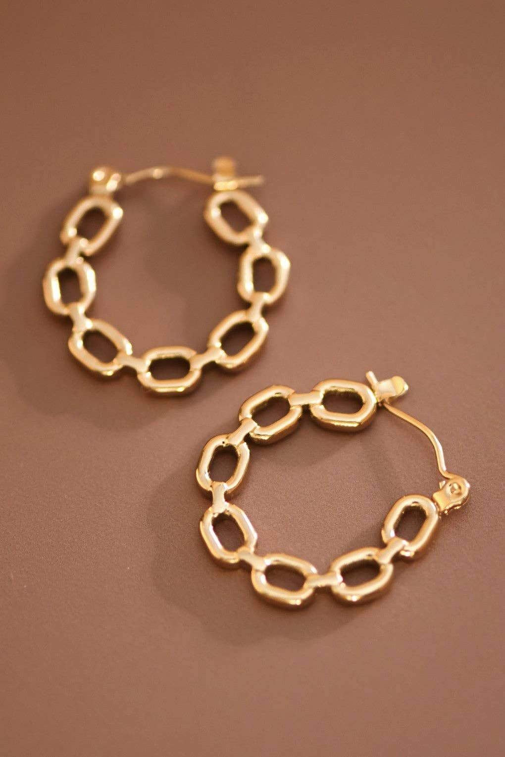 Margot Link Hoop Earrings
