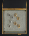 Elly Fluted Hoops