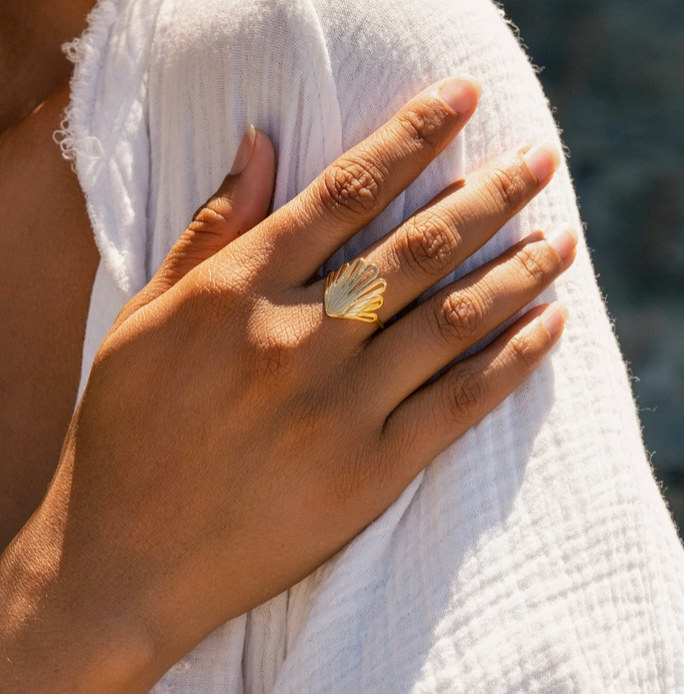 Sebastian Ring