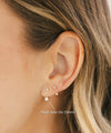 Arc Hook Earrings