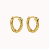 Snakebite Hoop Earrings