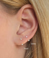 Arc Hook Earrings